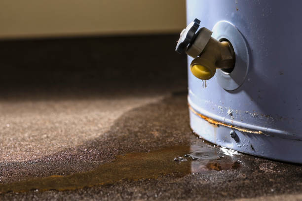 Best Carpet water damage restoration  in Uhrichsville, OH