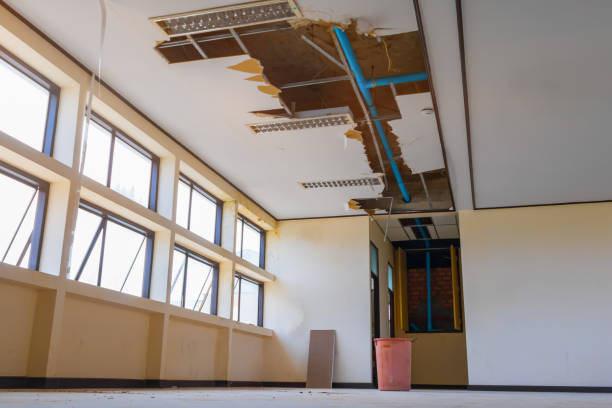 Best Local water damage restoration  in Uhrichsville, OH