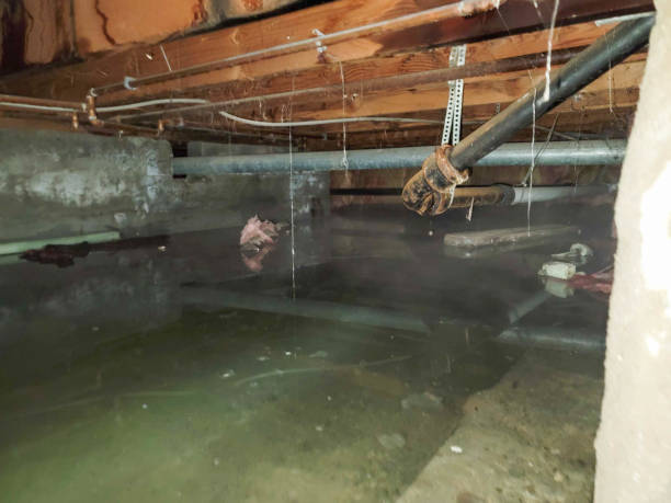 Best Sewage cleanup and water damage restoration  in Uhrichsville, OH