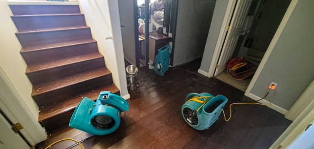 Best Basement water damage restoration  in Uhrichsville, OH