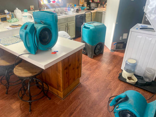  Uhrichsville, OH Water damage restoration Pros