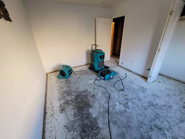 Best Ceiling water damage repair  in Uhrichsville, OH