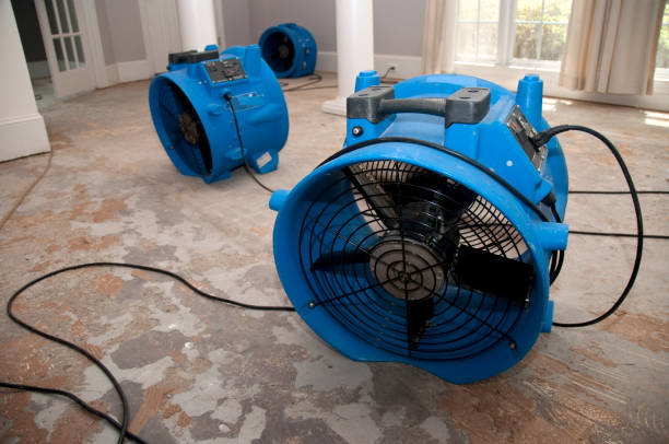 Best Flood damage cleanup  in Uhrichsville, OH