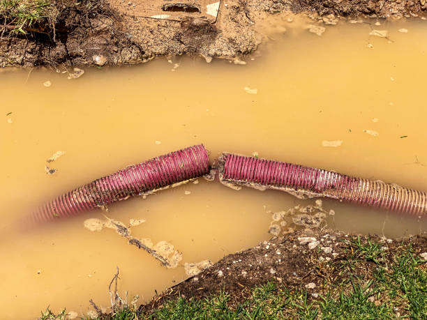 Best 24-hour water damage restoration  in Uhrichsville, OH