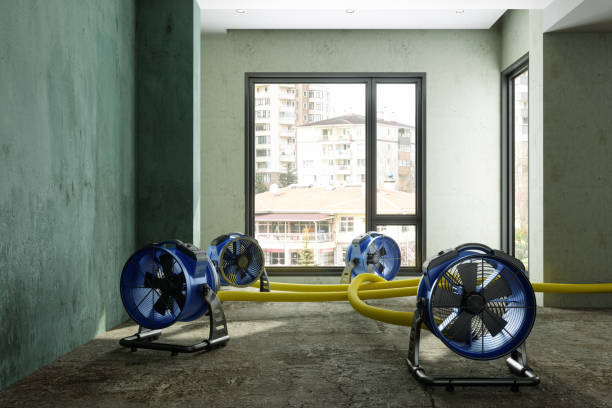 Water damage restoration process in Uhrichsville, OH